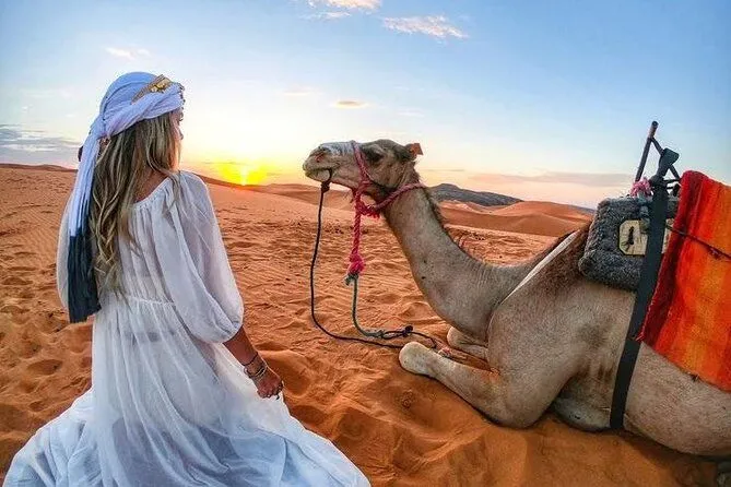 Morning Desert Safari Tour | Sunrise Desert Adventure