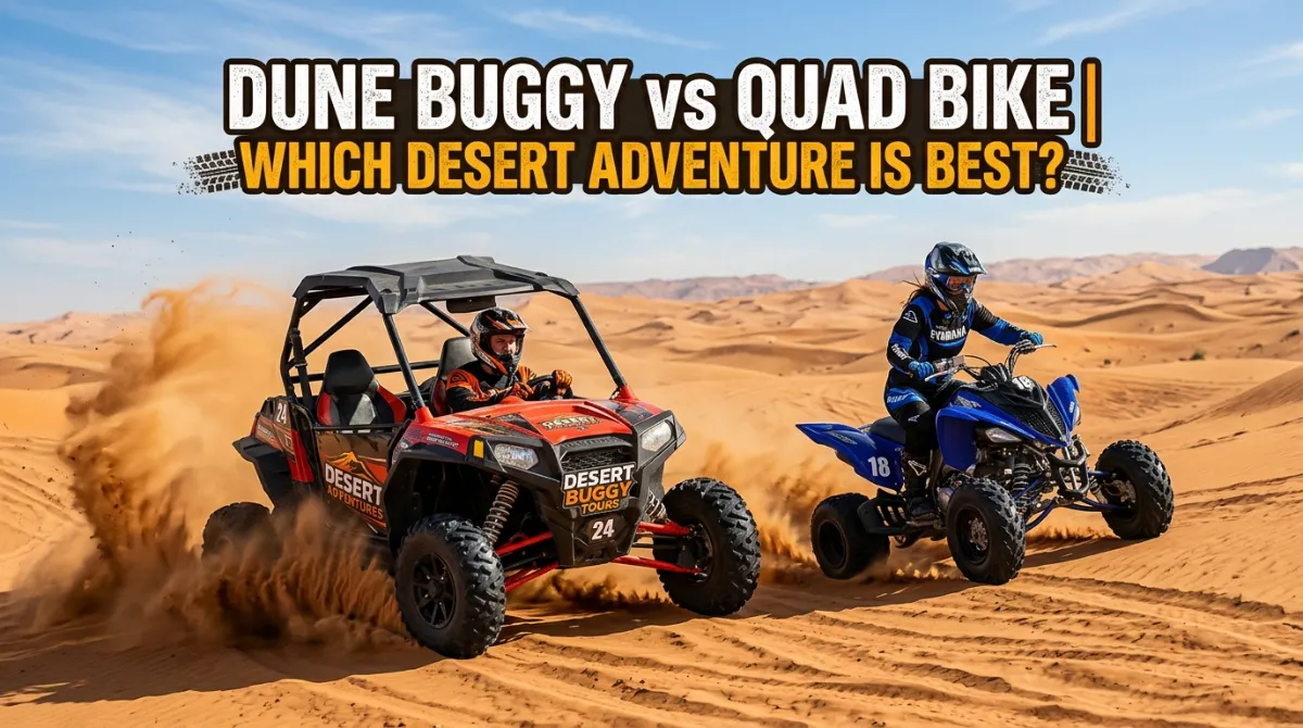 Buggy vs Quad Bike
